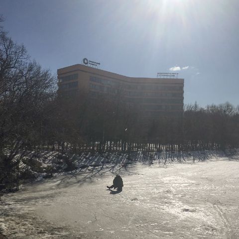 The image shows my university building, partially hidden by trees, with snow covering the lake. The bright sunlight casts long shadows. The lone figure in the foreground on the frozen surface creates a contemplative or introspective mood, which contrasts with the large, imposing structure of the university in the background.